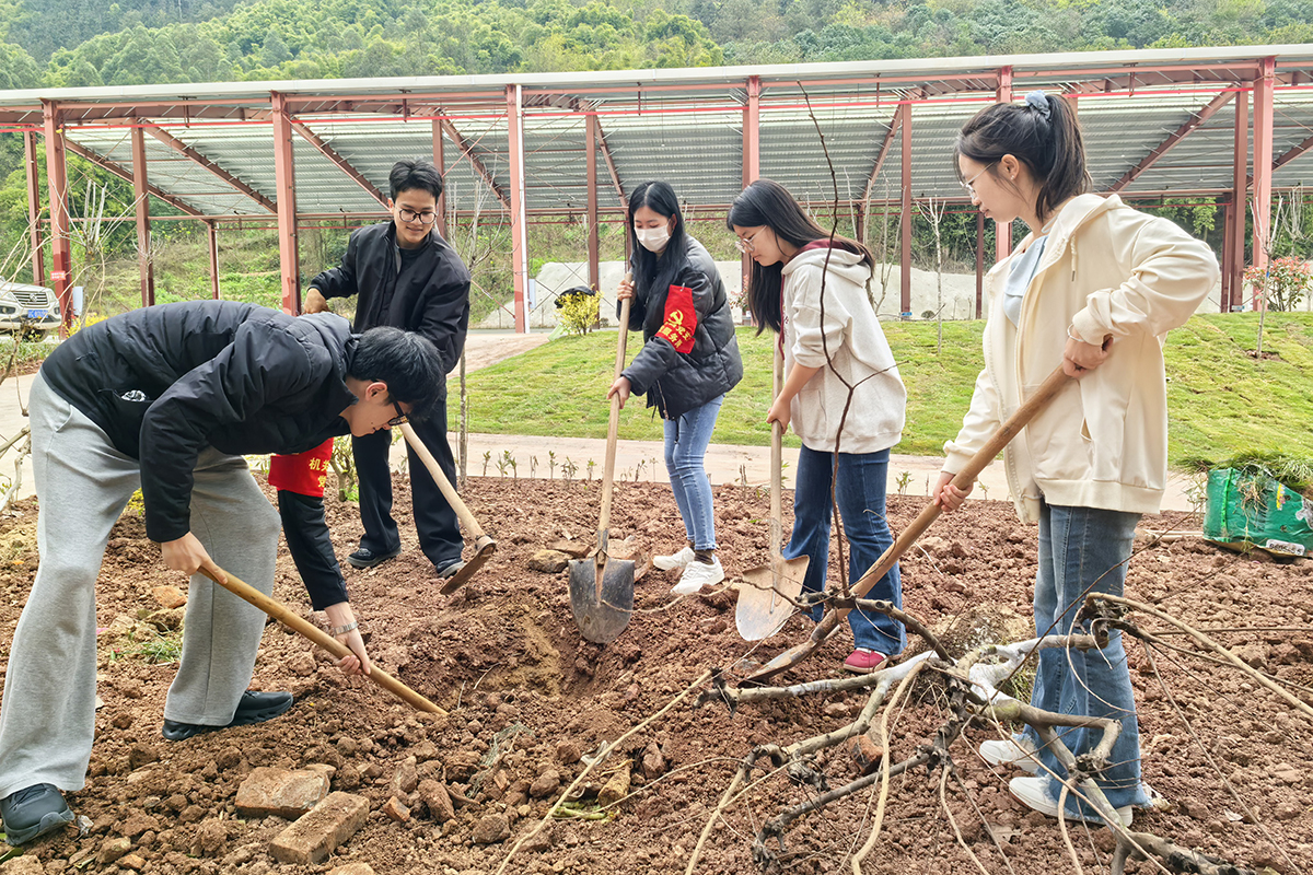 微信图片_20260312123853_1857_1666